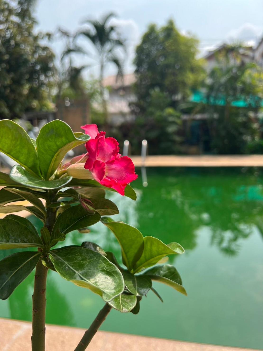 The Royal Shilton 3* Chiang Mai