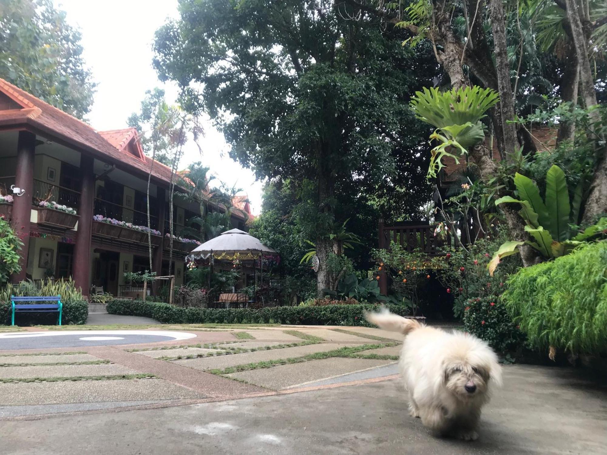 Guest house Kawila126 2*