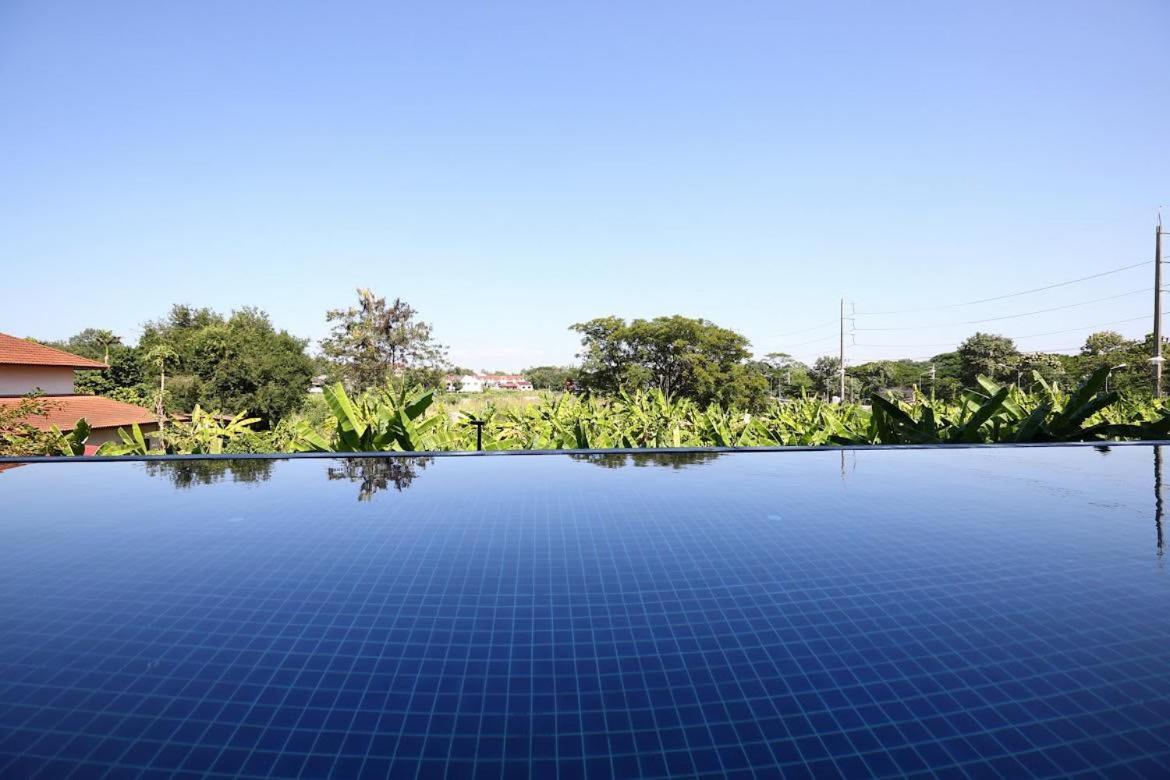 Luxury Modern Garden View Apartment