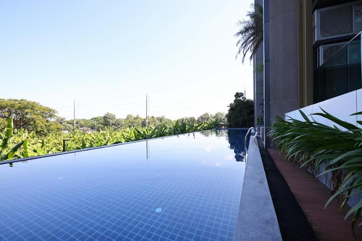 Luxury Modern Garden View