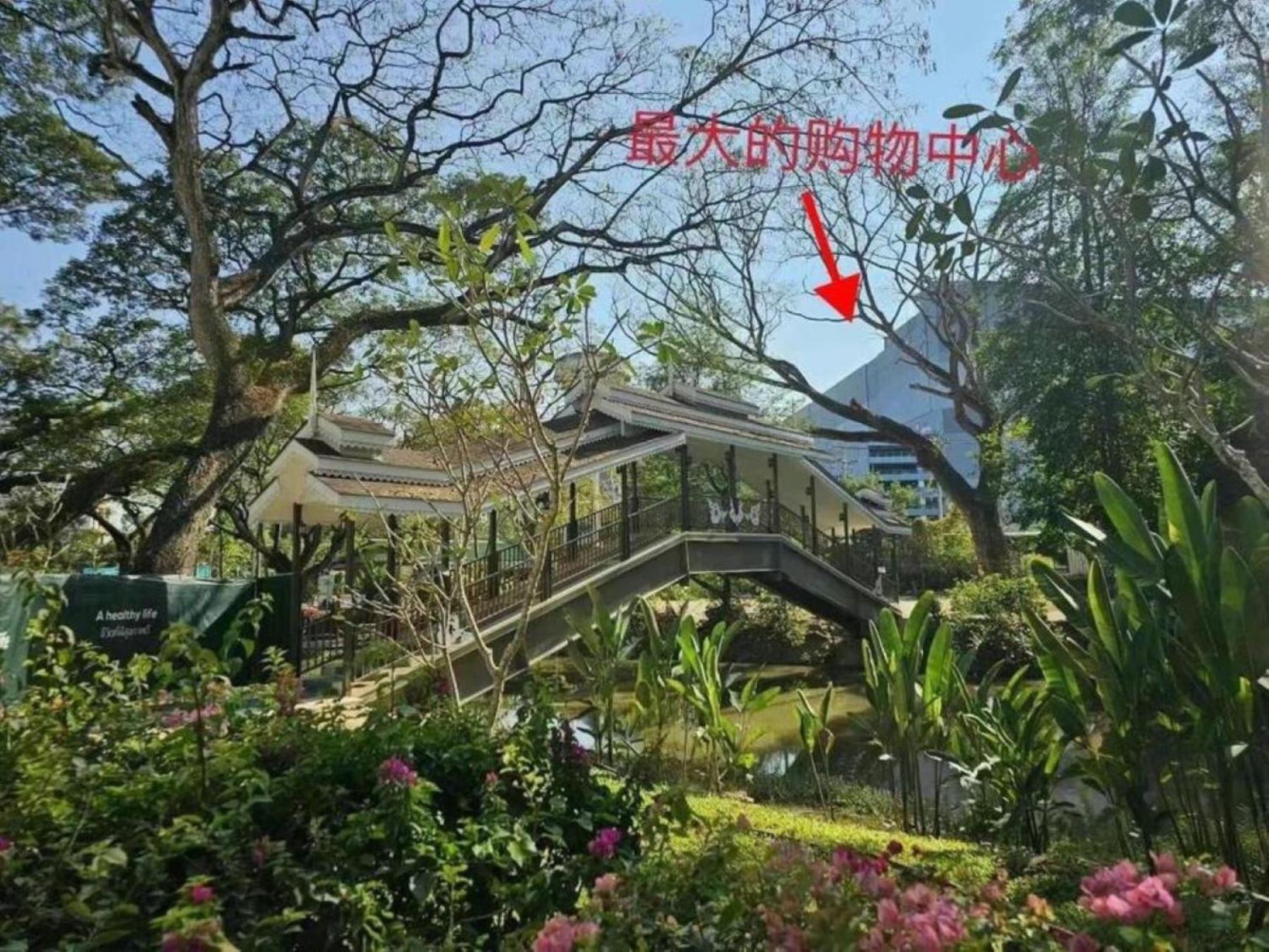 Homestay 3 Min Walk To Festival, Infinity Pool, 1 Bedroom 1 Bathroom
