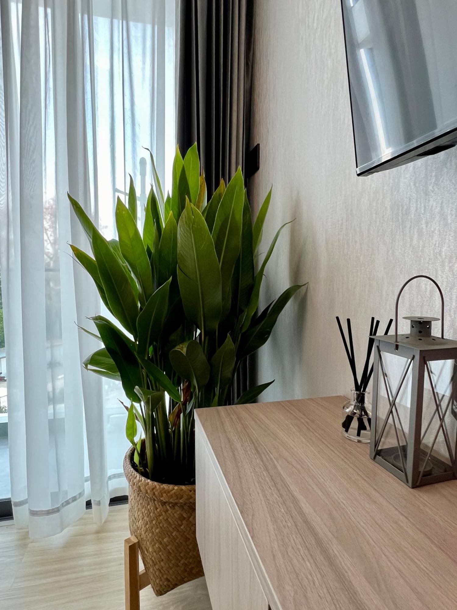 One Sweet Apartment