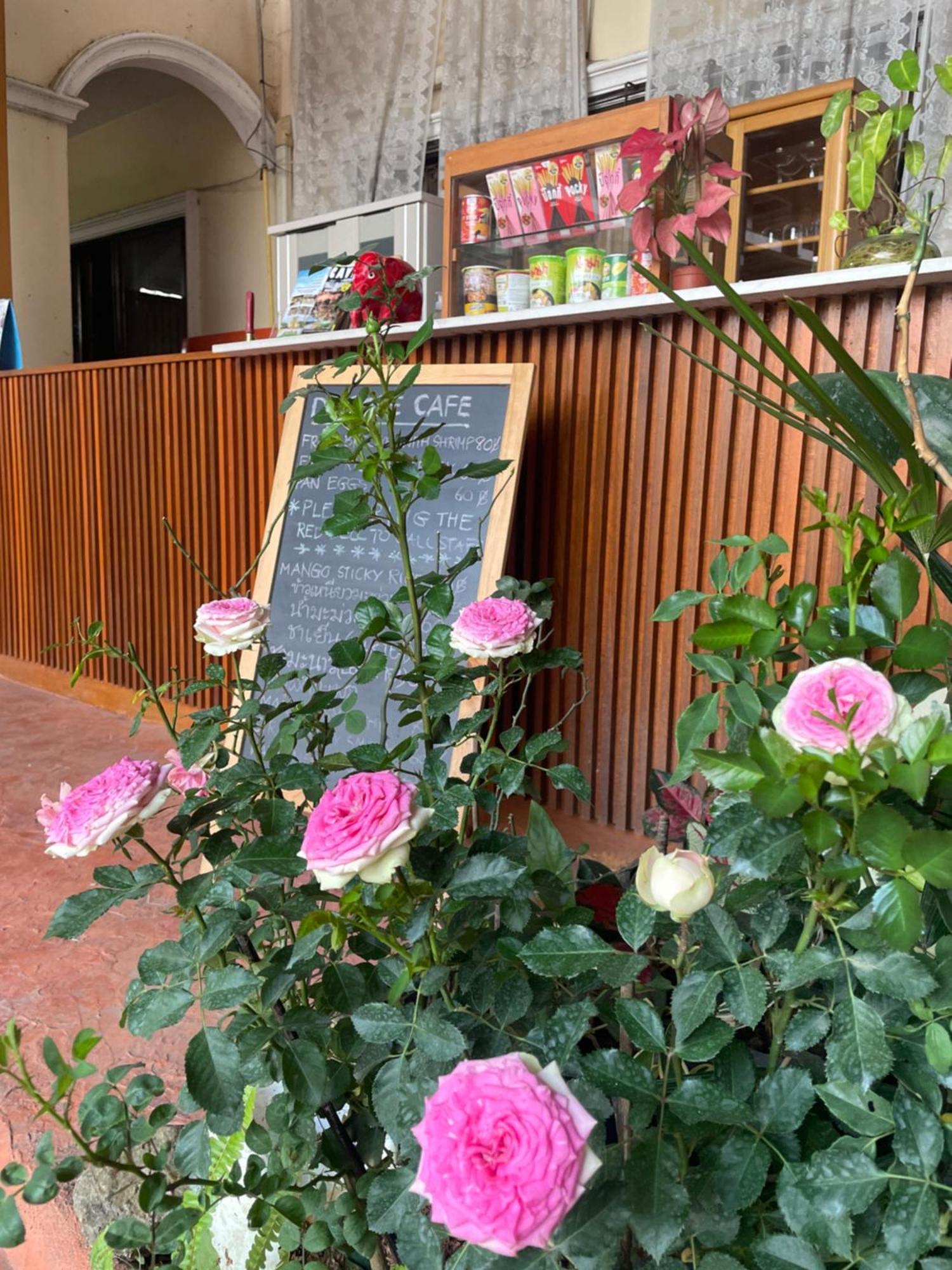 De Rose 3*