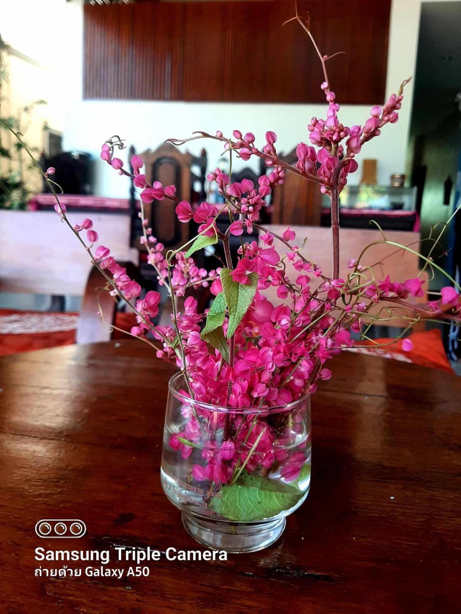 De Rose Hotel Chiang Mai