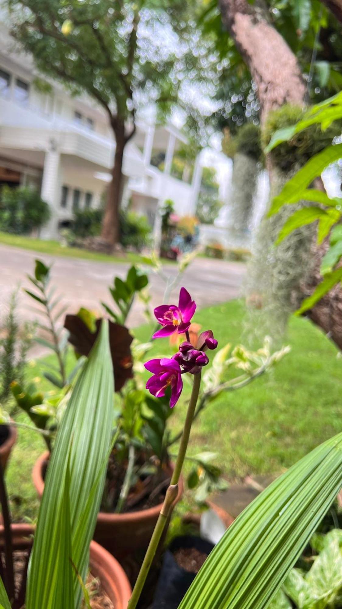 Hotel Udee Cozy Chiang Mai