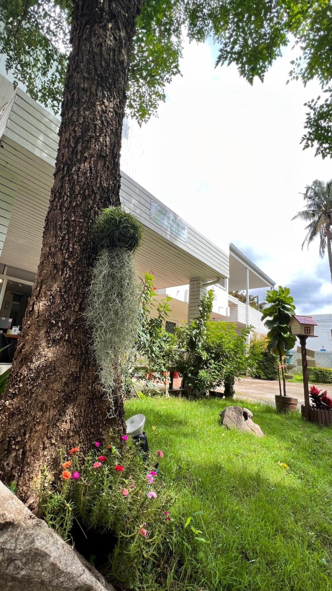 Udee Cozy Chiang Mai