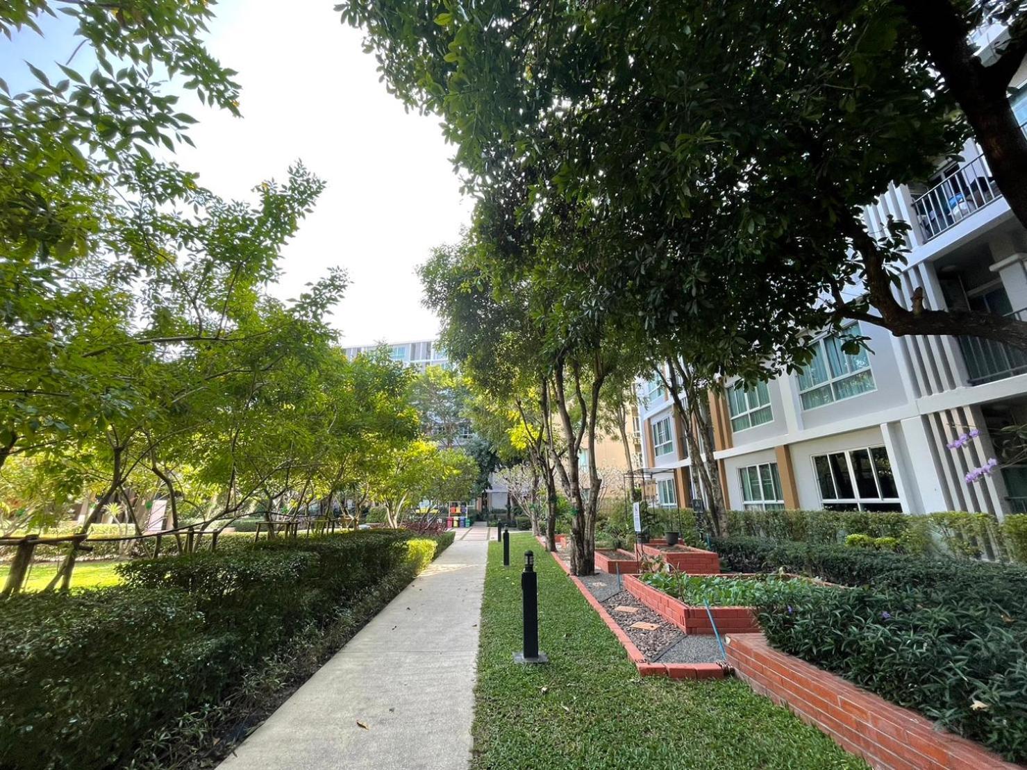 Apartment Living Like Local In Chiangmai *