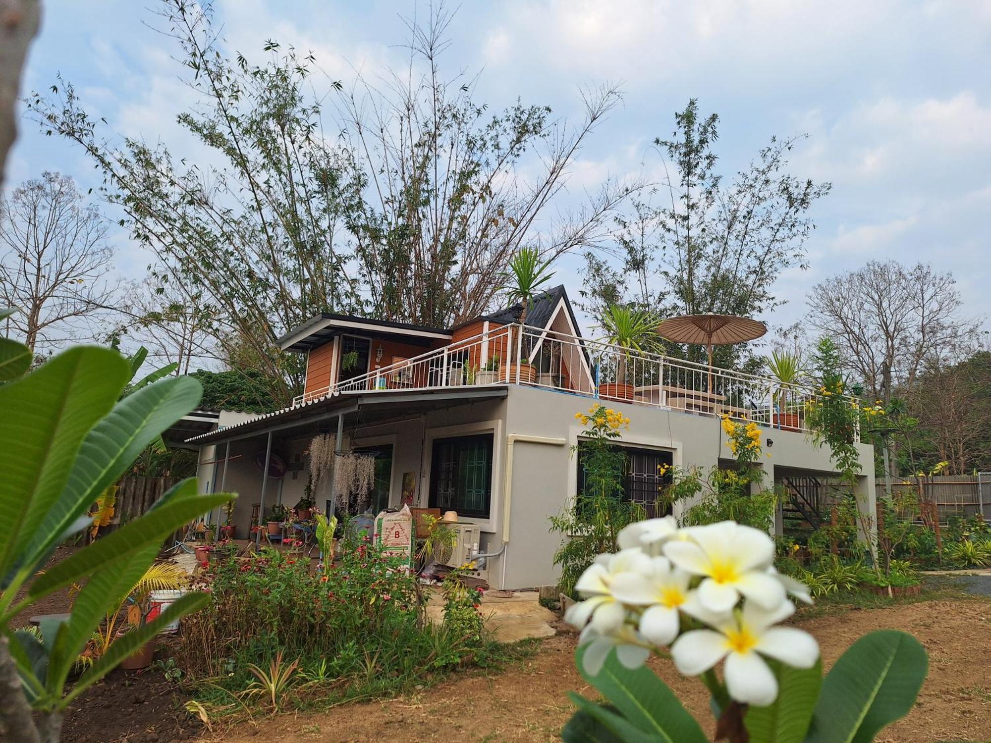 Homestay Lala's House@mae On *