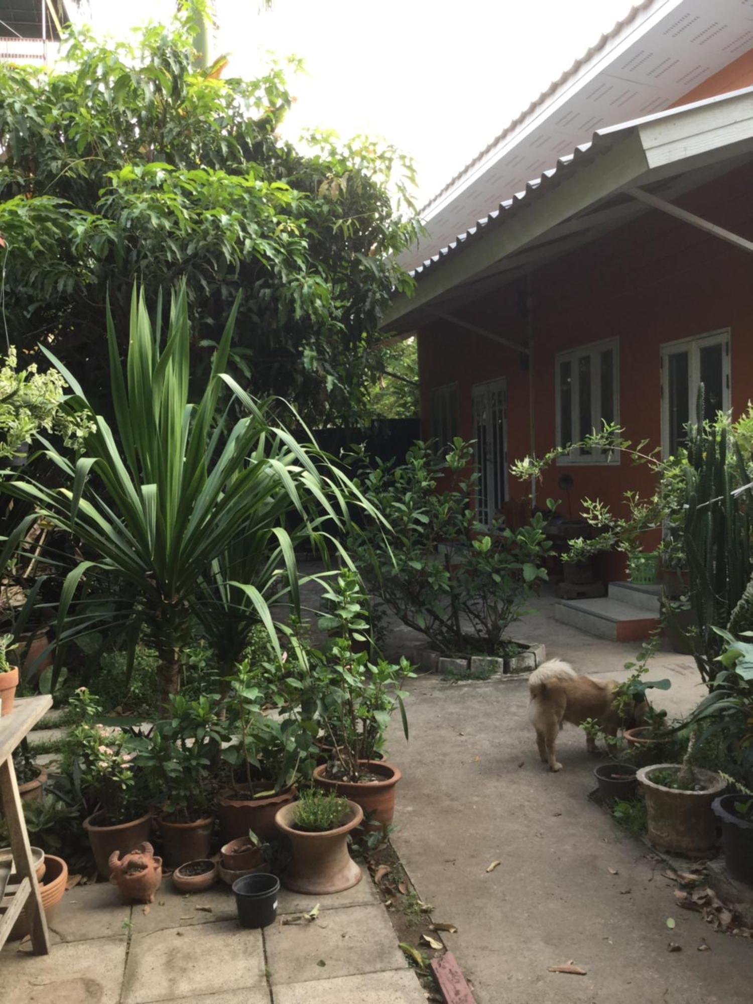 Gasthof Baan Songjum Chiang Mai