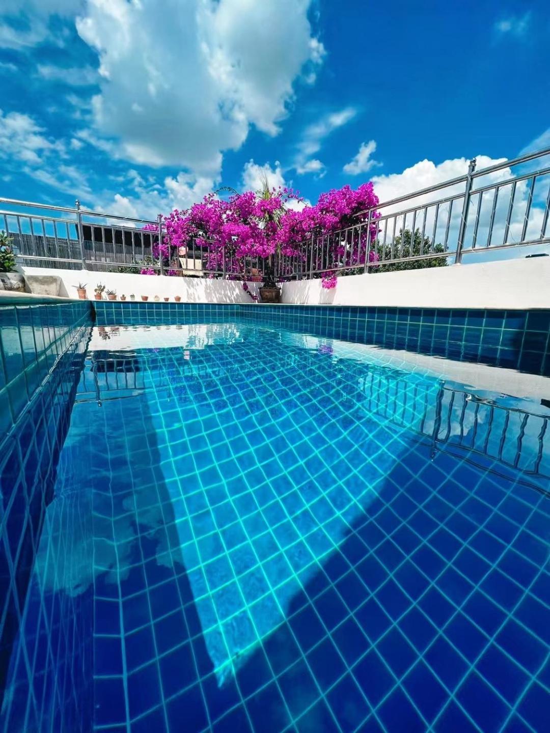 Mammoth Art Pool In Old Chiang Mai