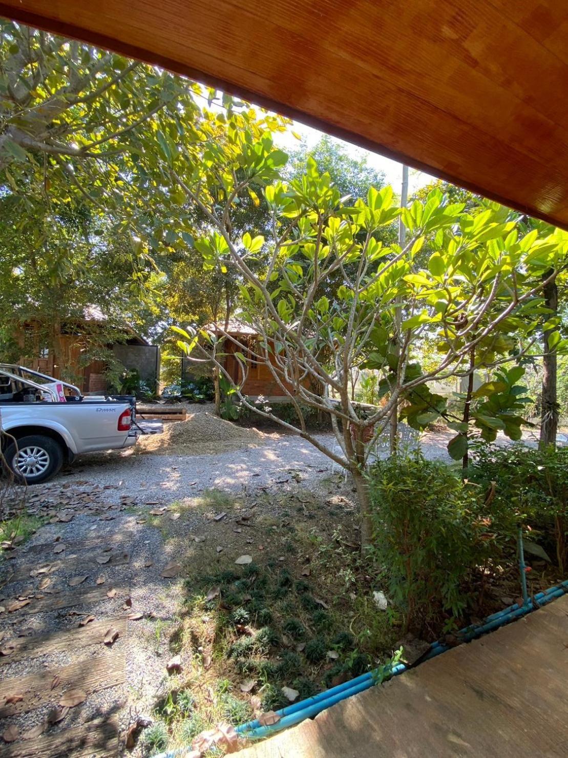 Tasana Garden Saraphi ทาซาน่าการ์เด้น สาขาสารภี *