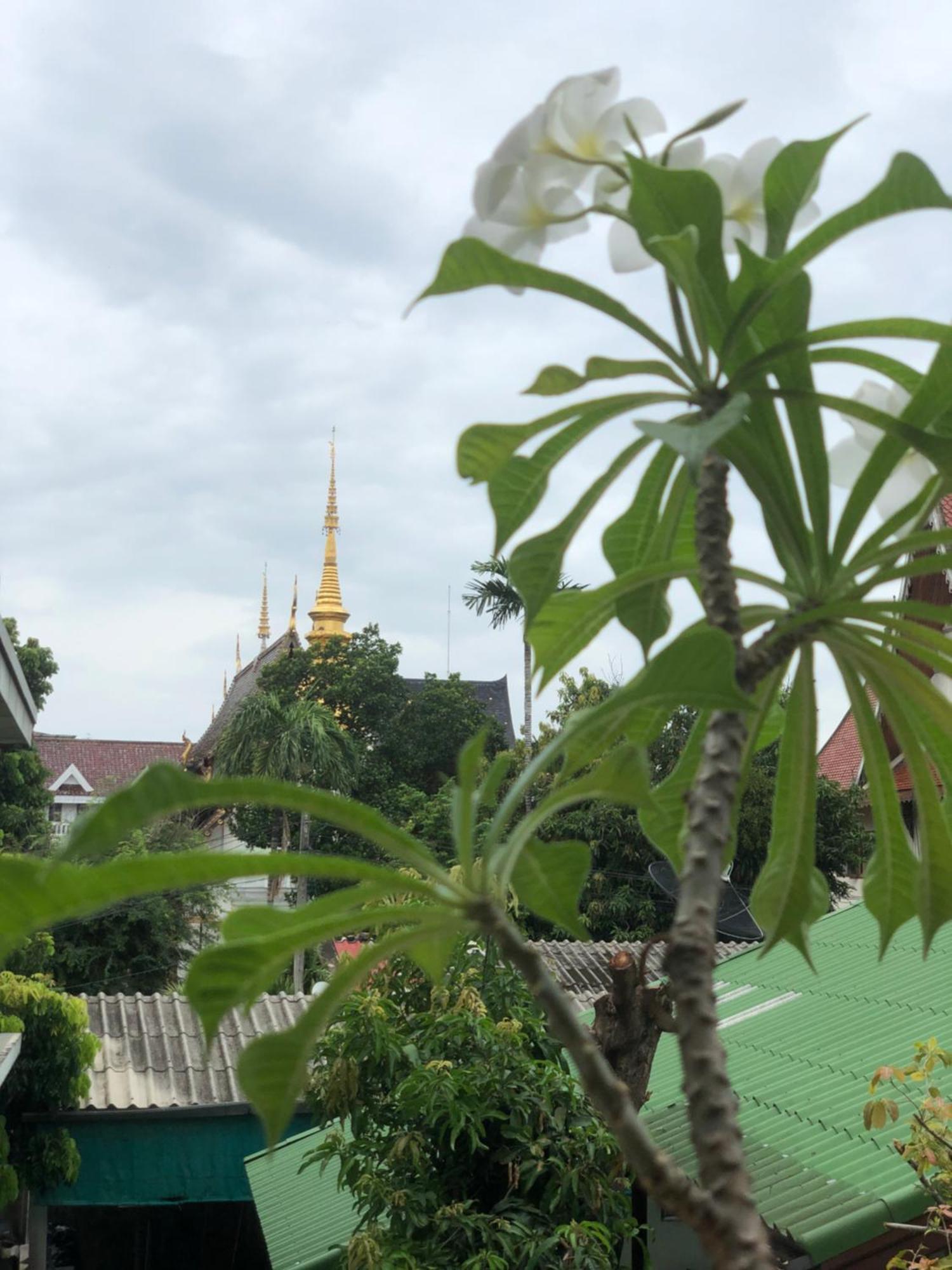 Gasthuis Thongran's House Chiang Mai