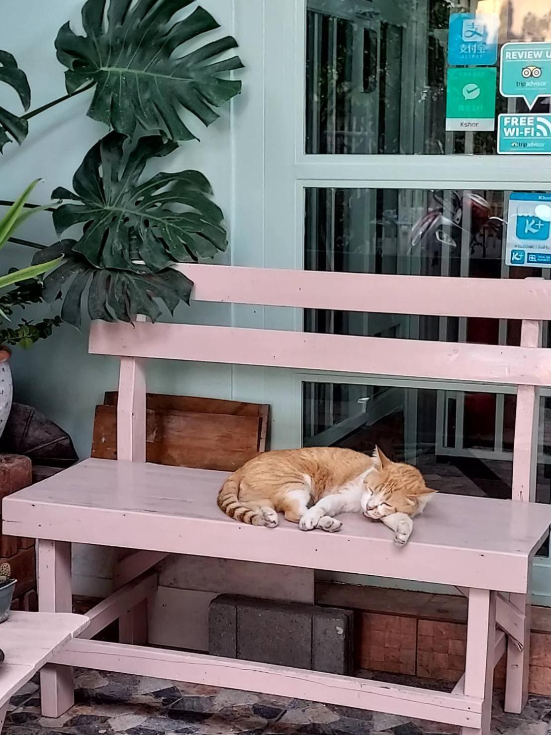 The Commonroom Cnx Bed & Breakfast 2*