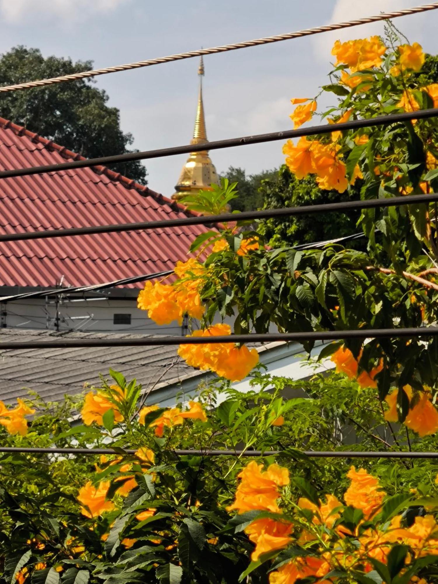 Ratchiangsaen Flora House Guest house Chiang Mai