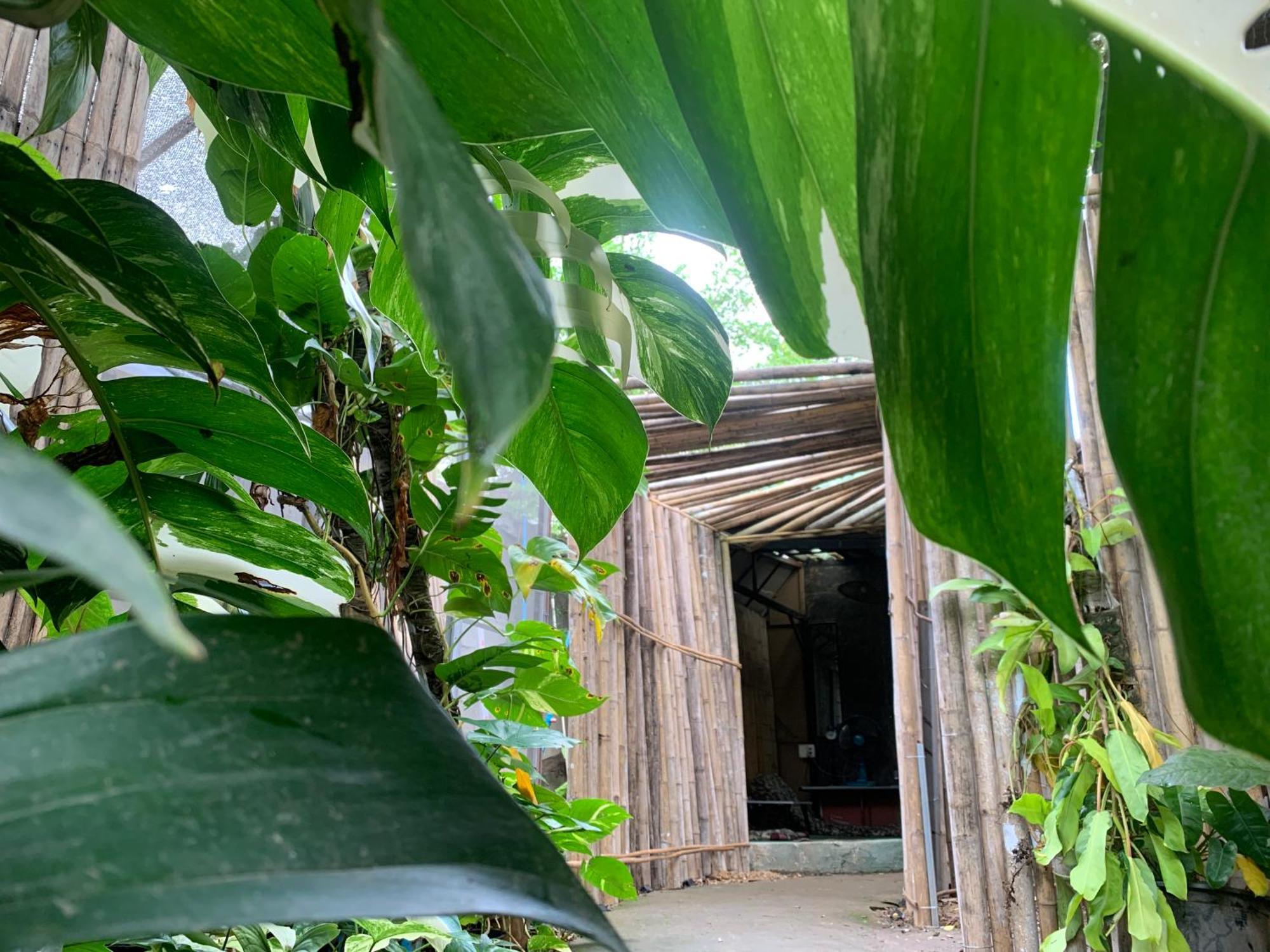 Fundee Story Bamboo House In Old Town Guest house 2*