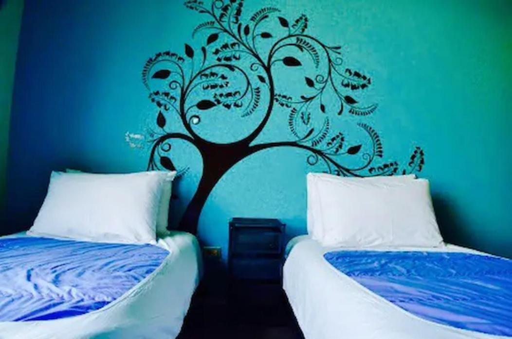 Guest house Heyha House 2*