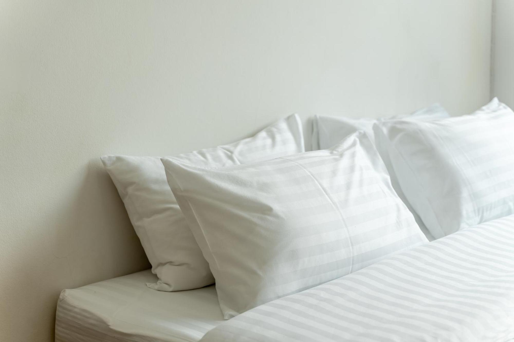 Hostel Socialer Coliving & Coworking Space