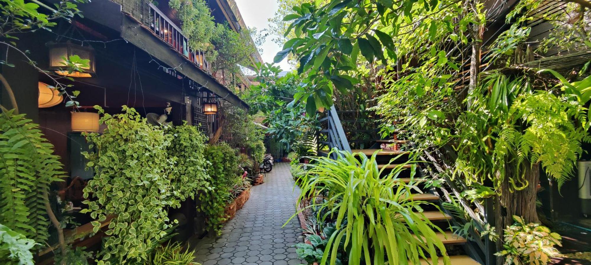 Hoh Chiang Mai
