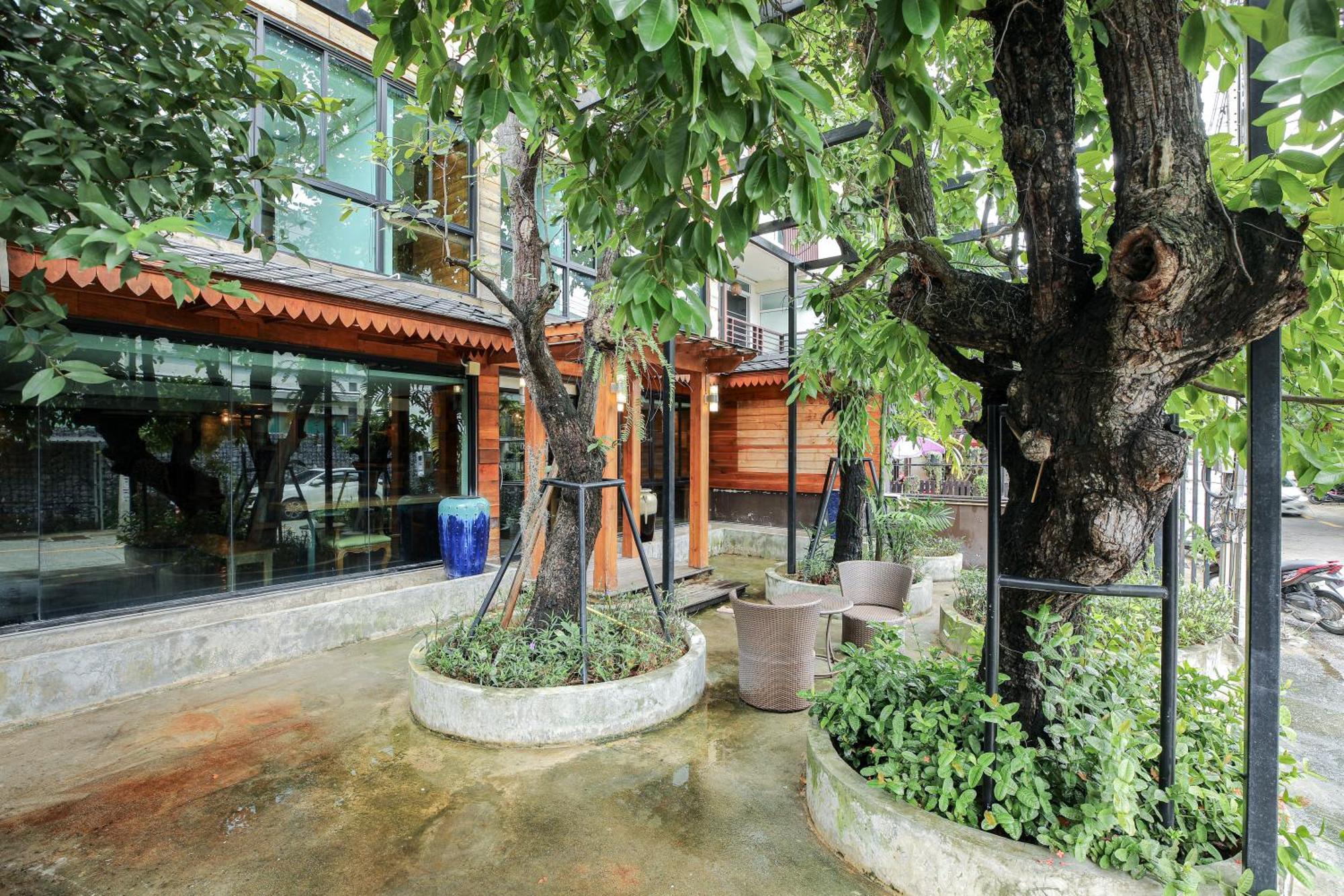 Arbor's House