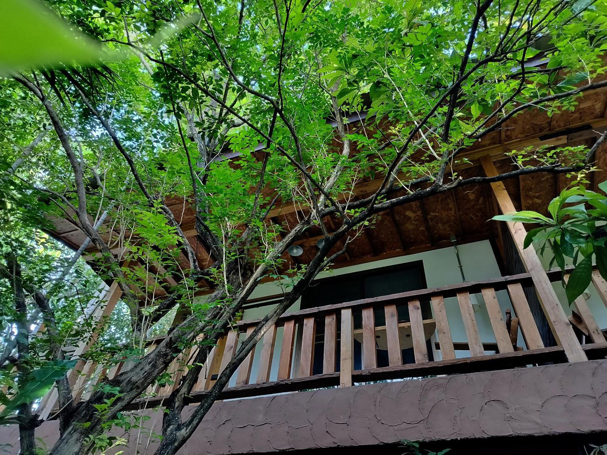 Oldy De Garden Aparthotel Chiang Mai