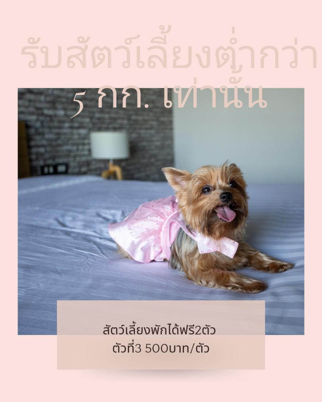 Get Zleep Premium Budget