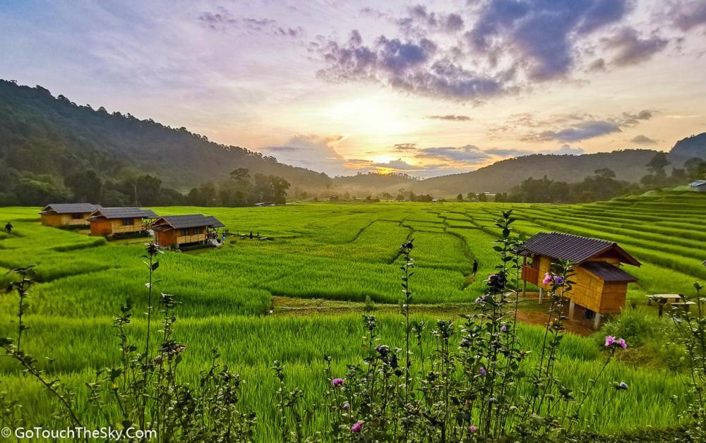 Born Chiang Mai