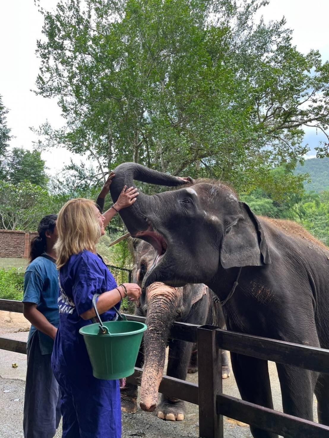 Thai Chiangmai 3*