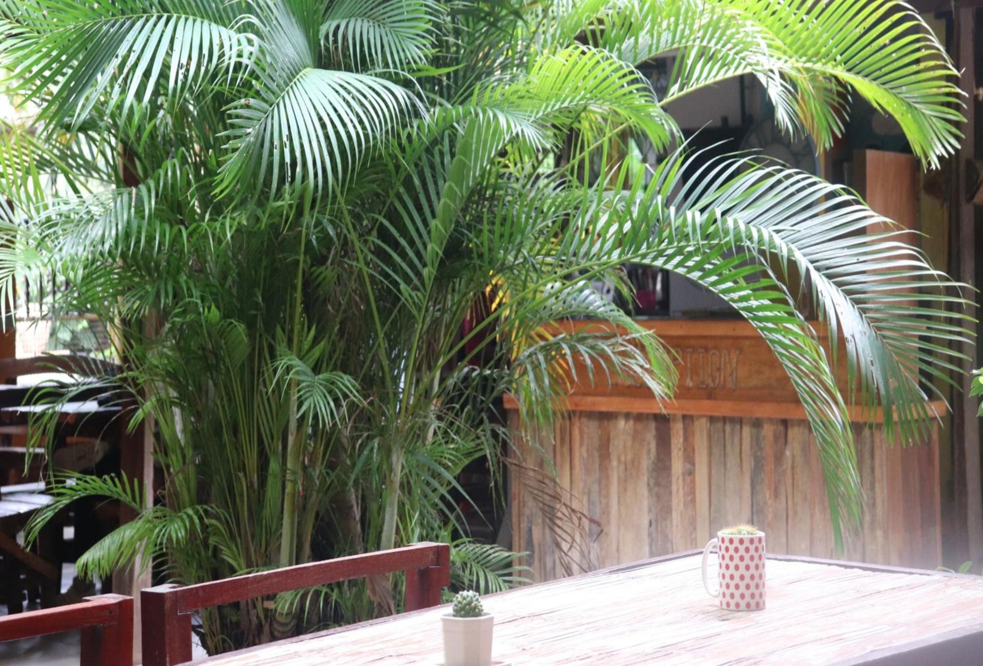 Trekker Camp Guest house