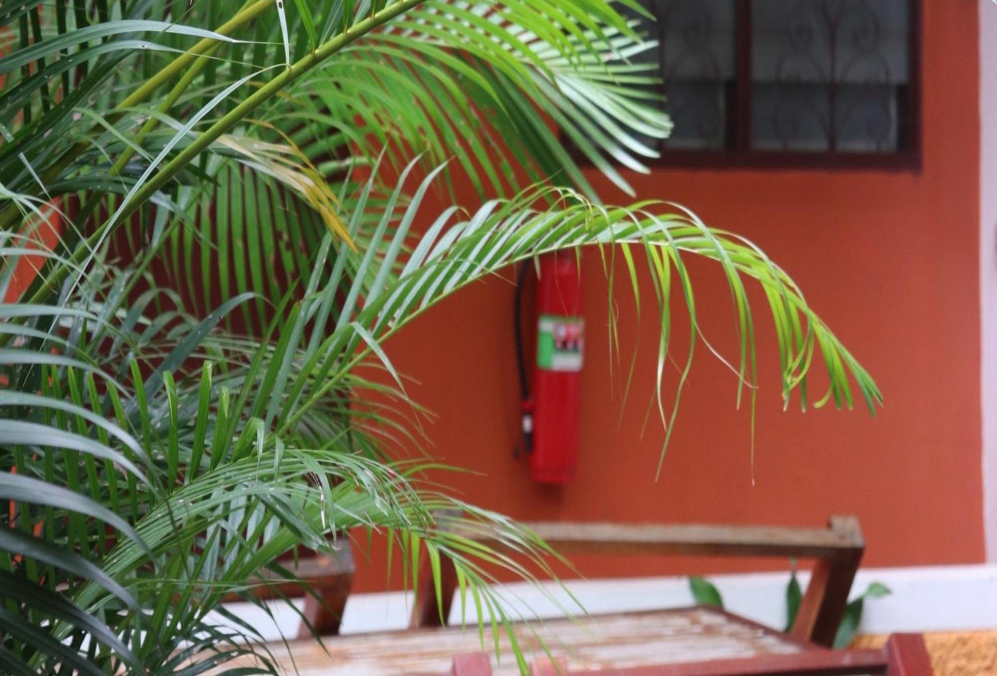 Guest house Trekker Camp