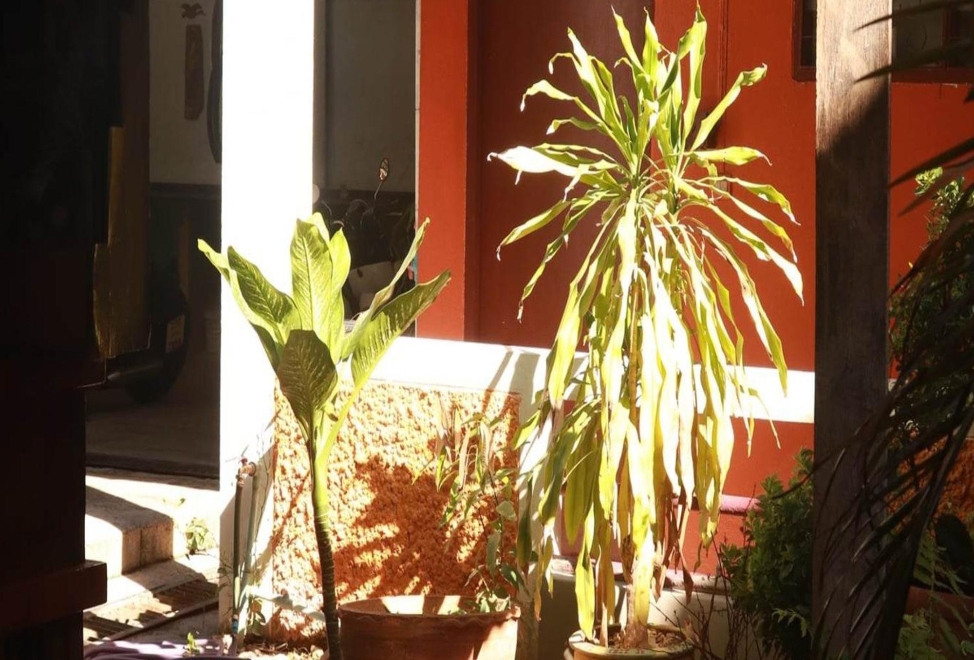 Trekker Camp Guest house *