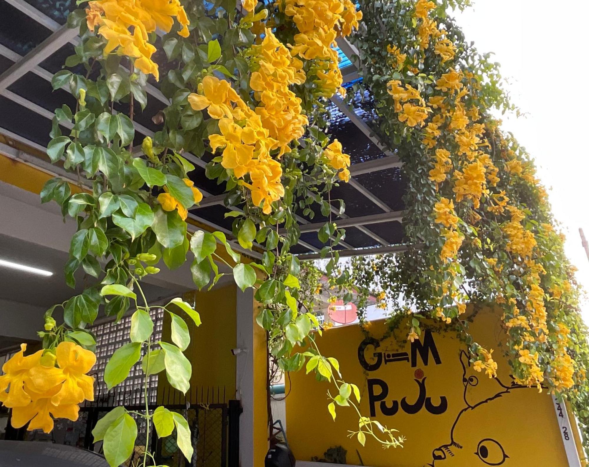 Guest house Gumpuju คำปู้จู้ *