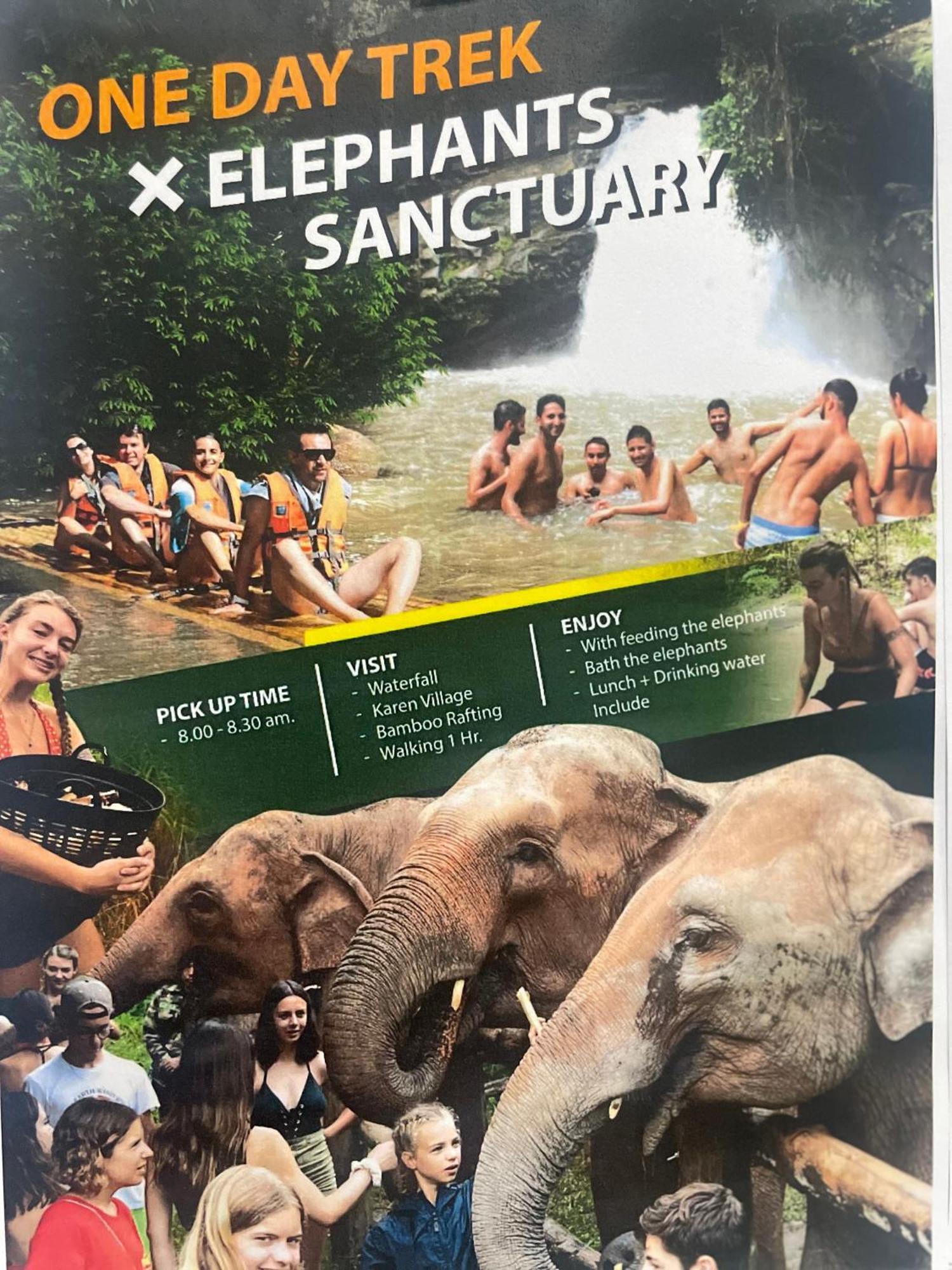 Thai Chiangmai