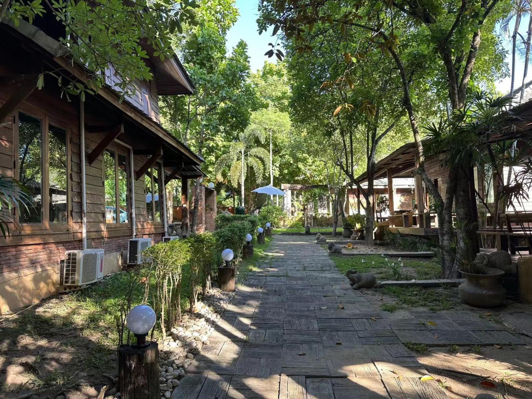 Dreamer Club Treehouse Bridge With Pool Homestay