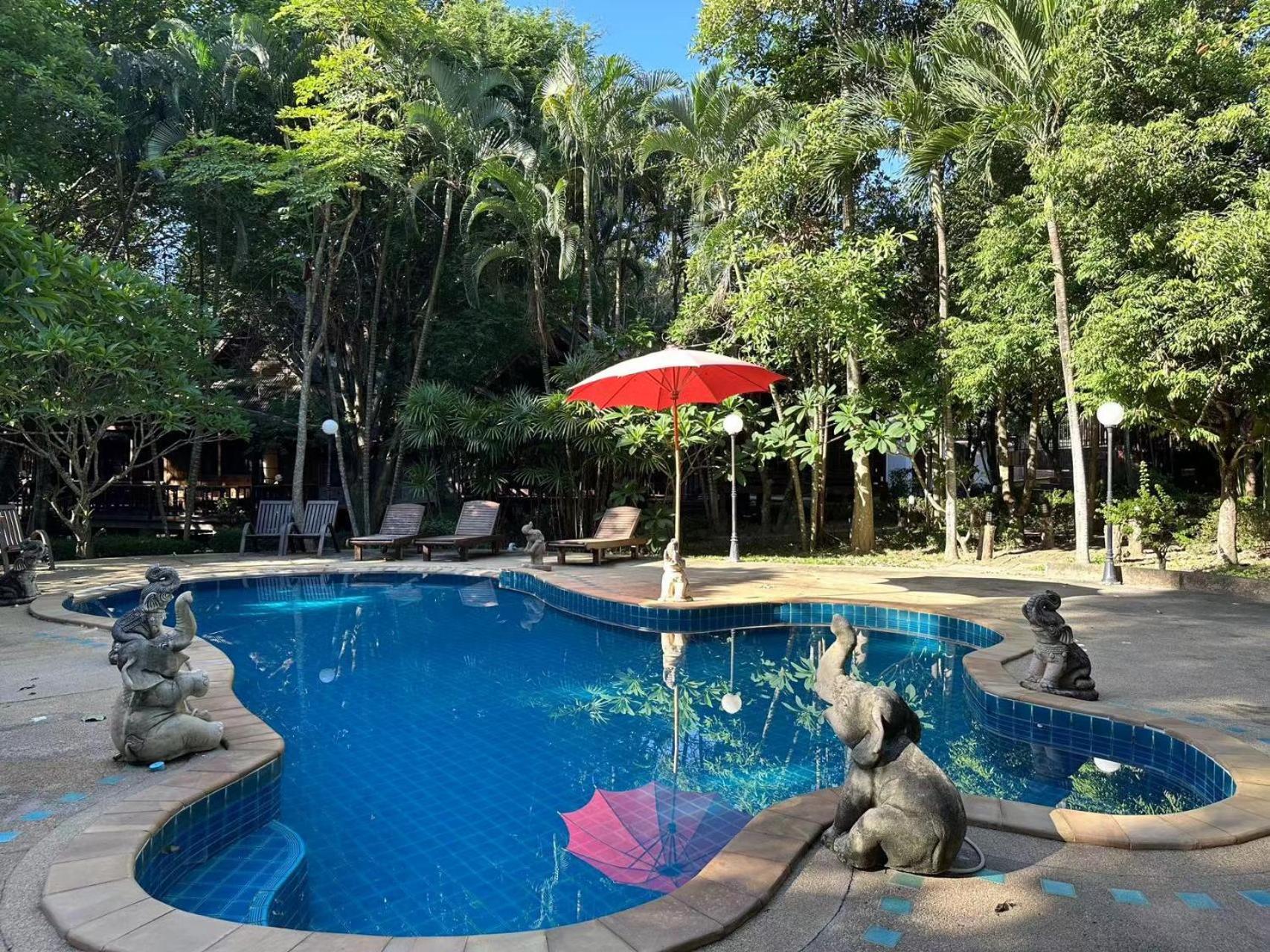 Dreamer Club Treehouse Bridge With Pool Homestay *