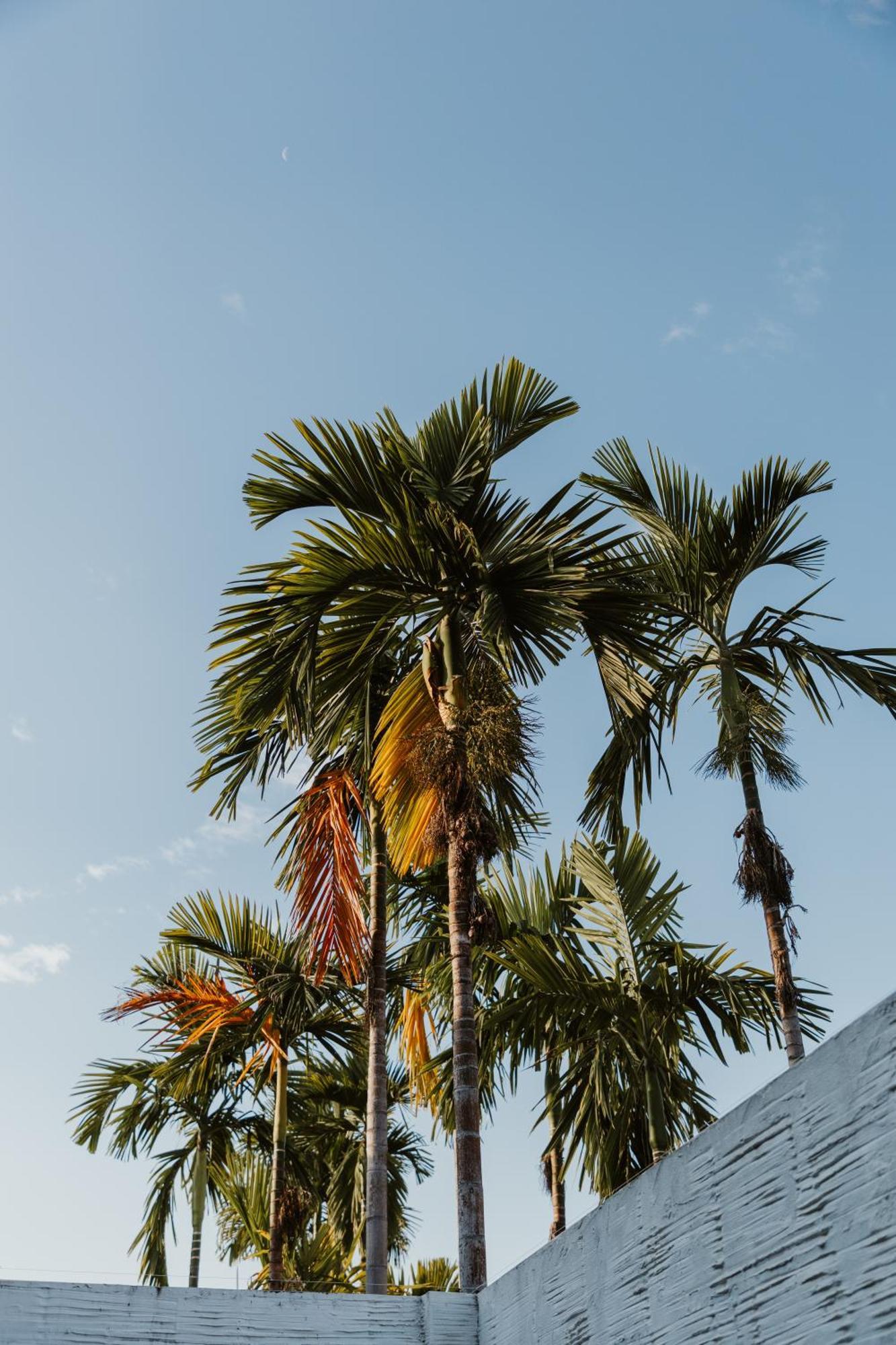 Resort Arun Dara 3*