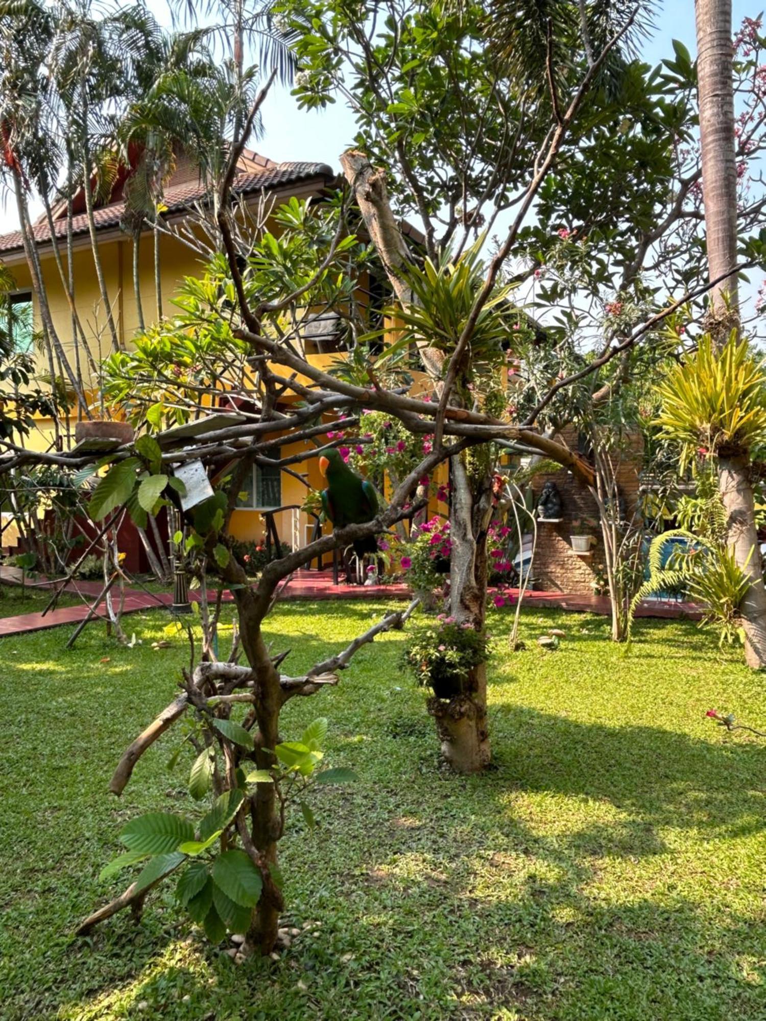 Lamduan Boutique * Chiang Mai