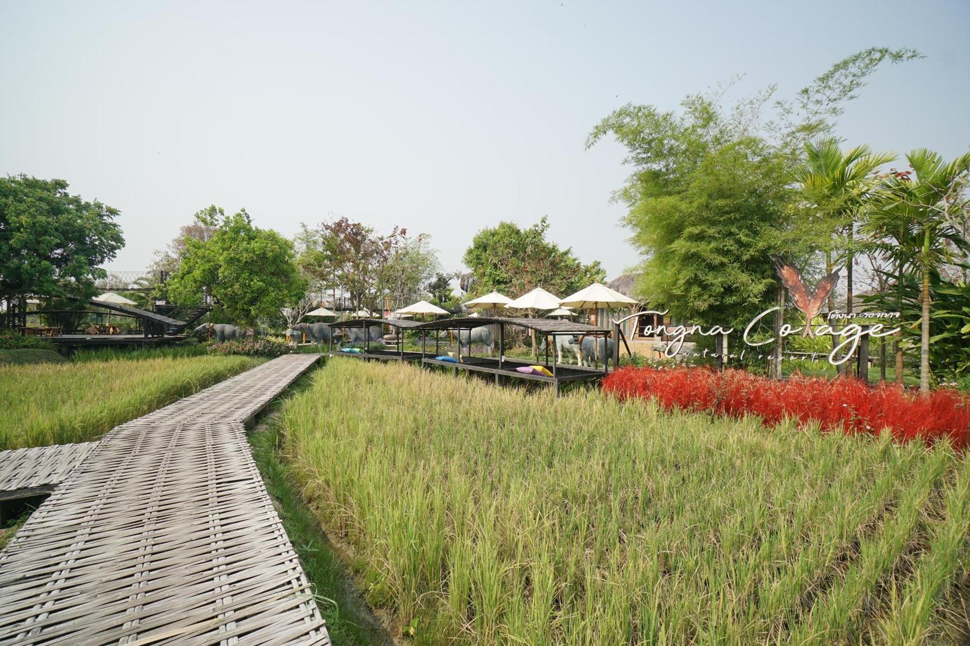 Hotel Tongna Natural