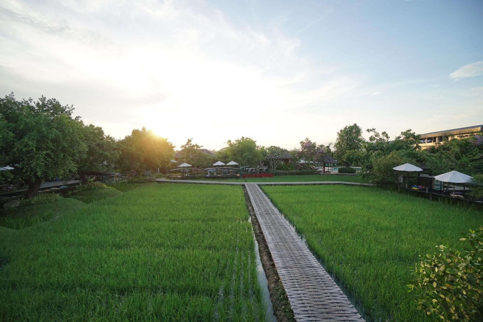 Tongna Natural Hotel 4*