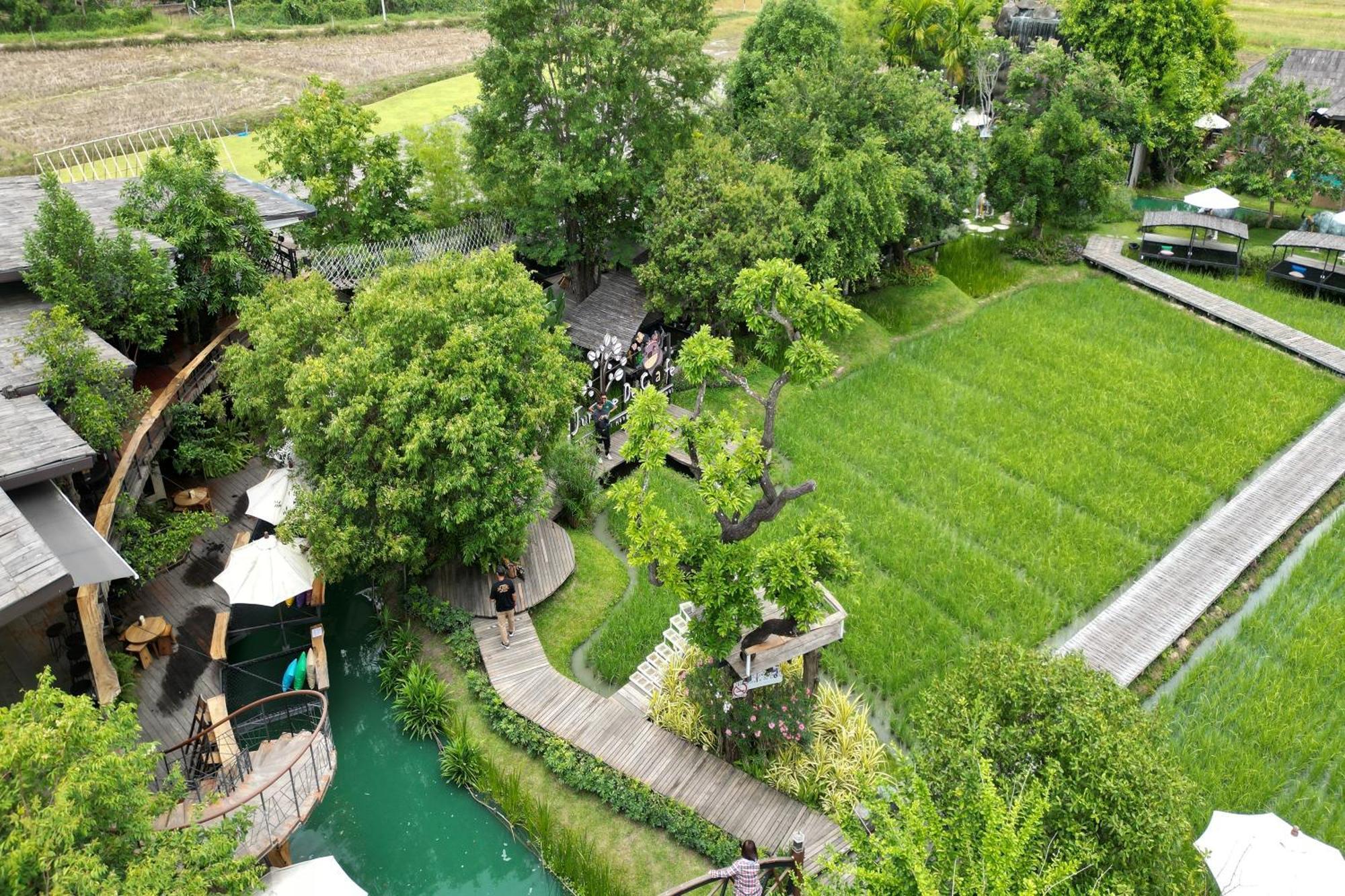 Tongna Natural Chiang Mai