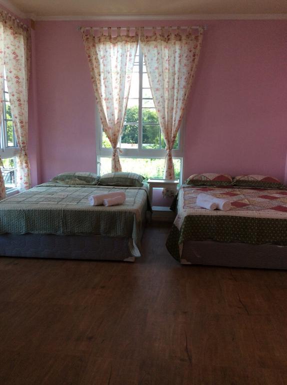 The Paper Guest house Chiang Mai