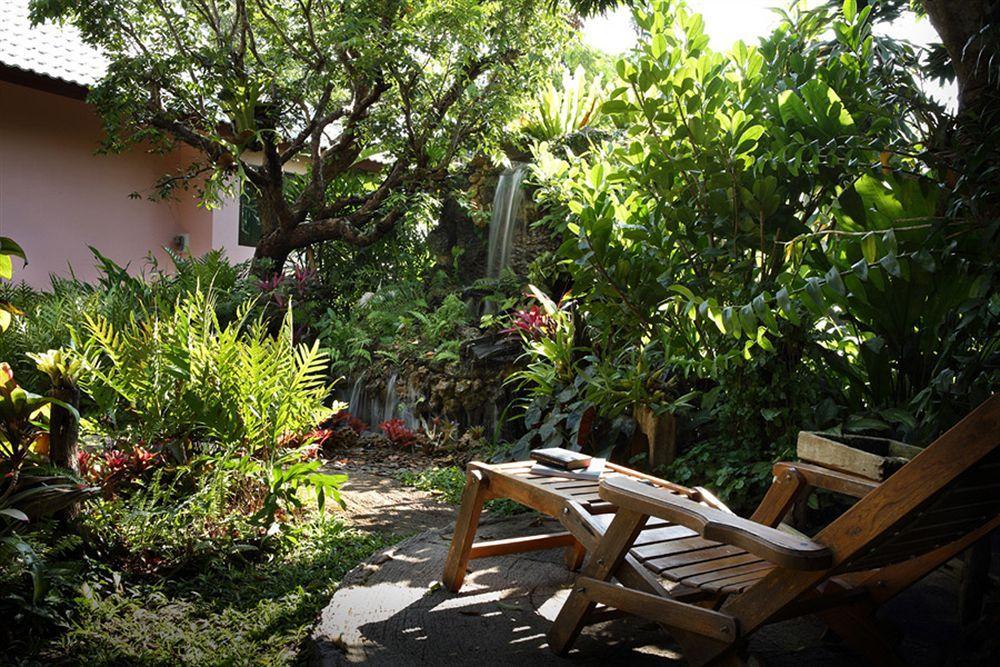 Le Saichan, Maejo Chiang Mai