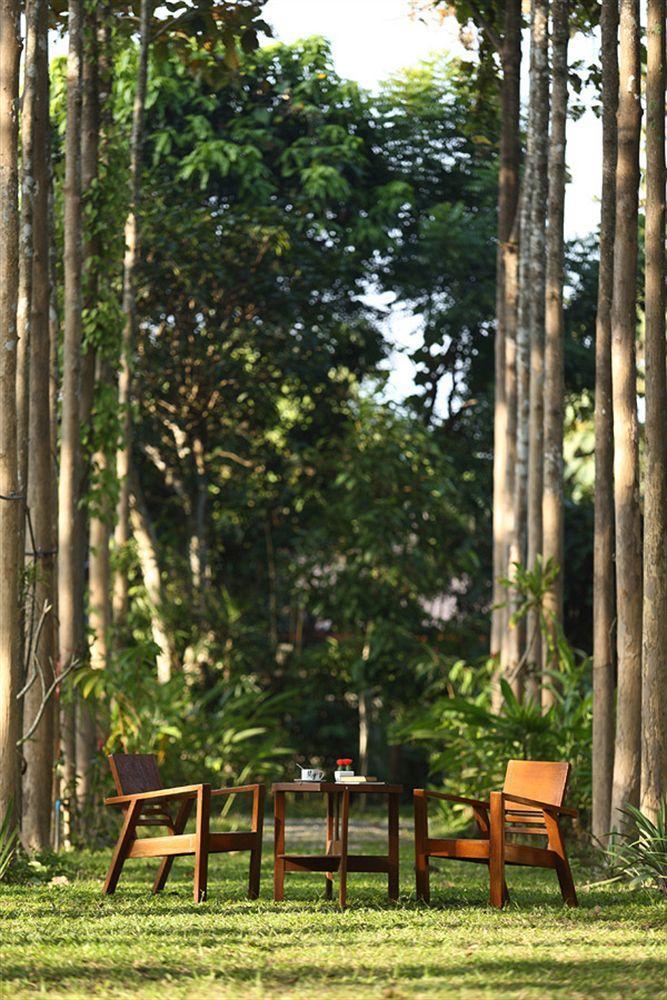 Le Saichan, Maejo Chiang Mai