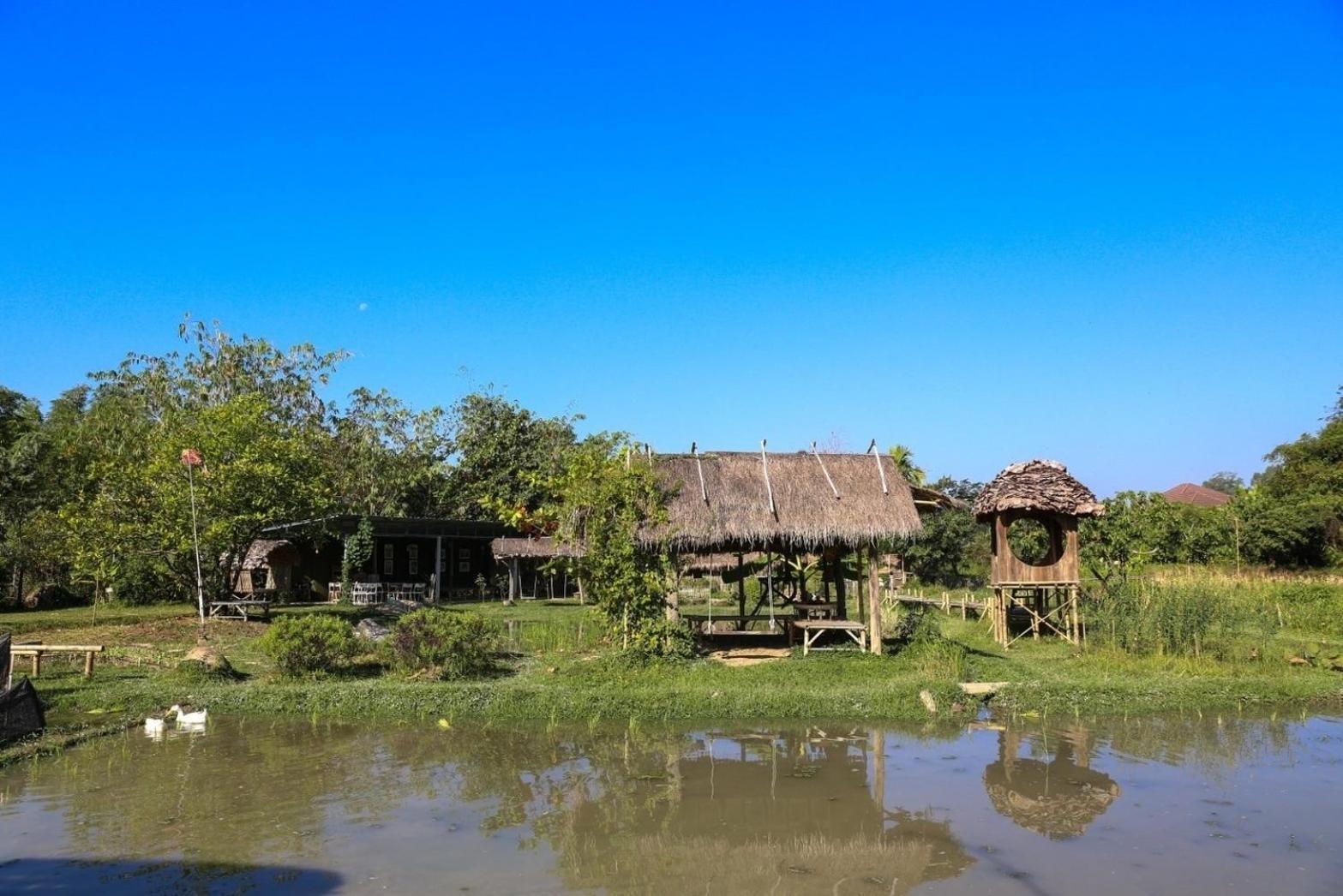 Hang Tueng Farm แฮงตึง Chiang Mai