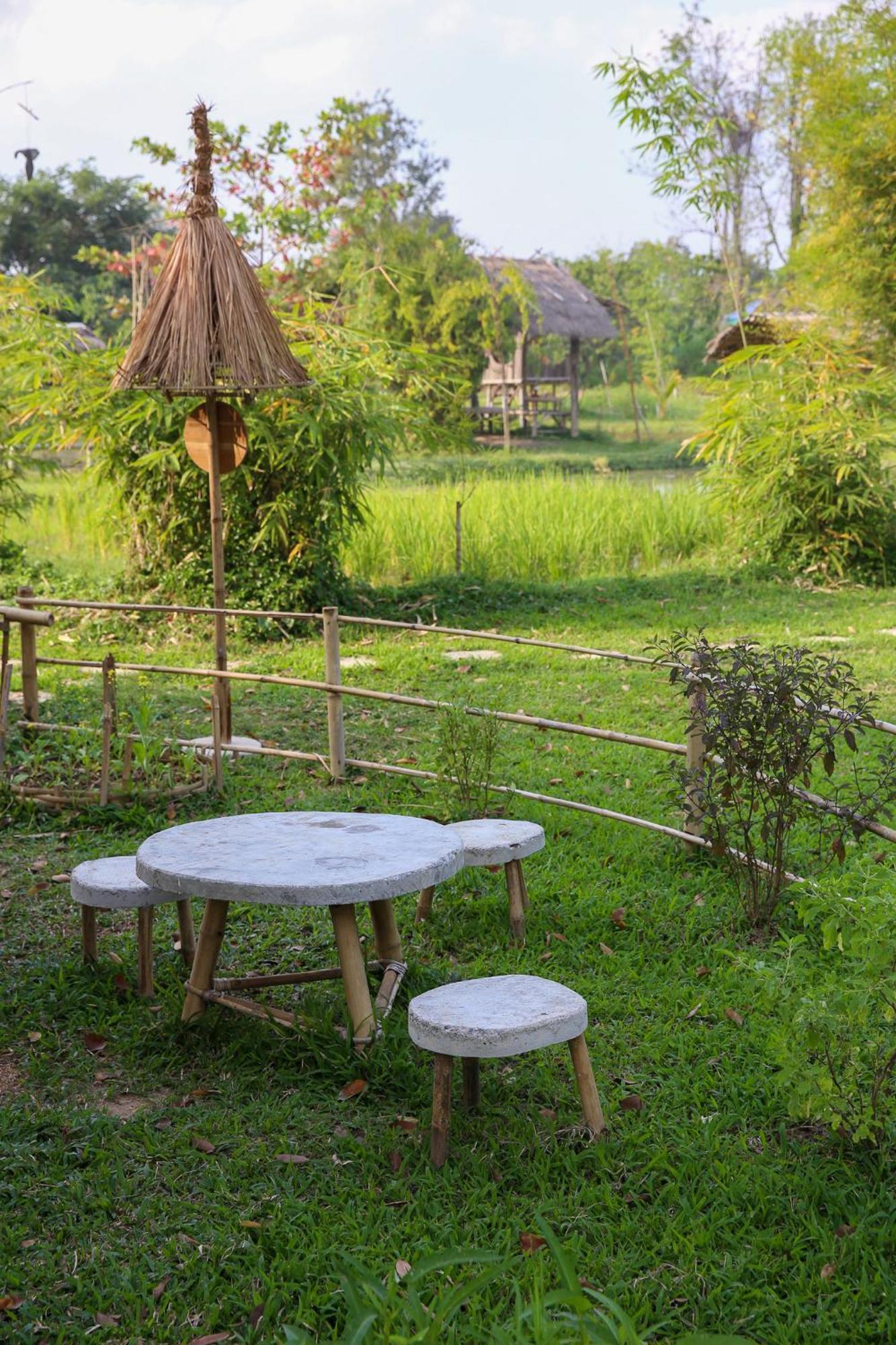 Hang Tueng Farm แฮงตึง Chiang Mai