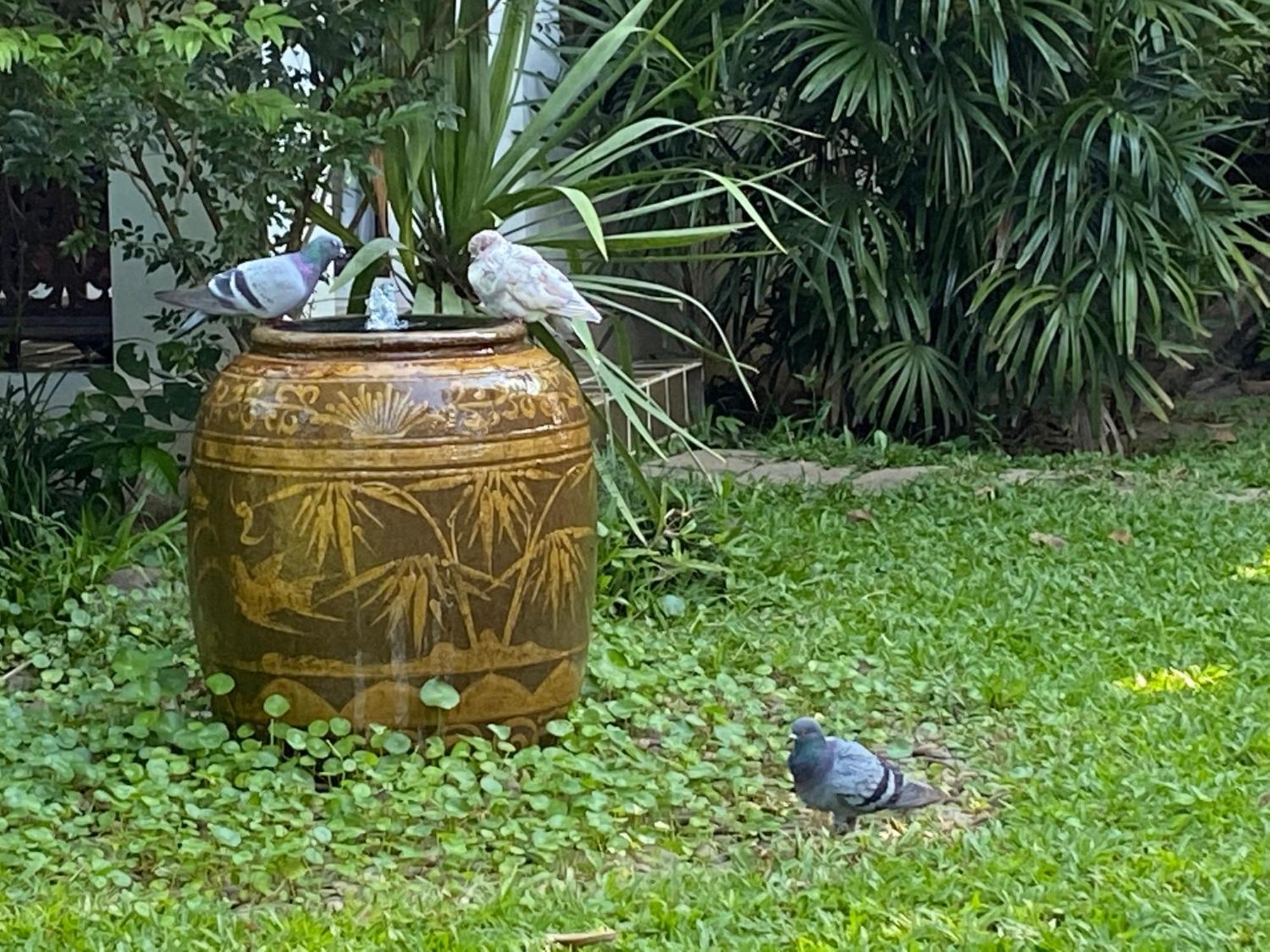 Baan Orapin Chiang Mai