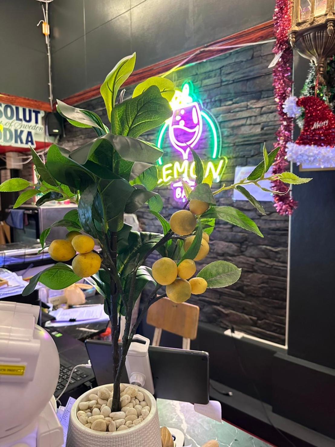 Hostel Lemonap Chiang Mai