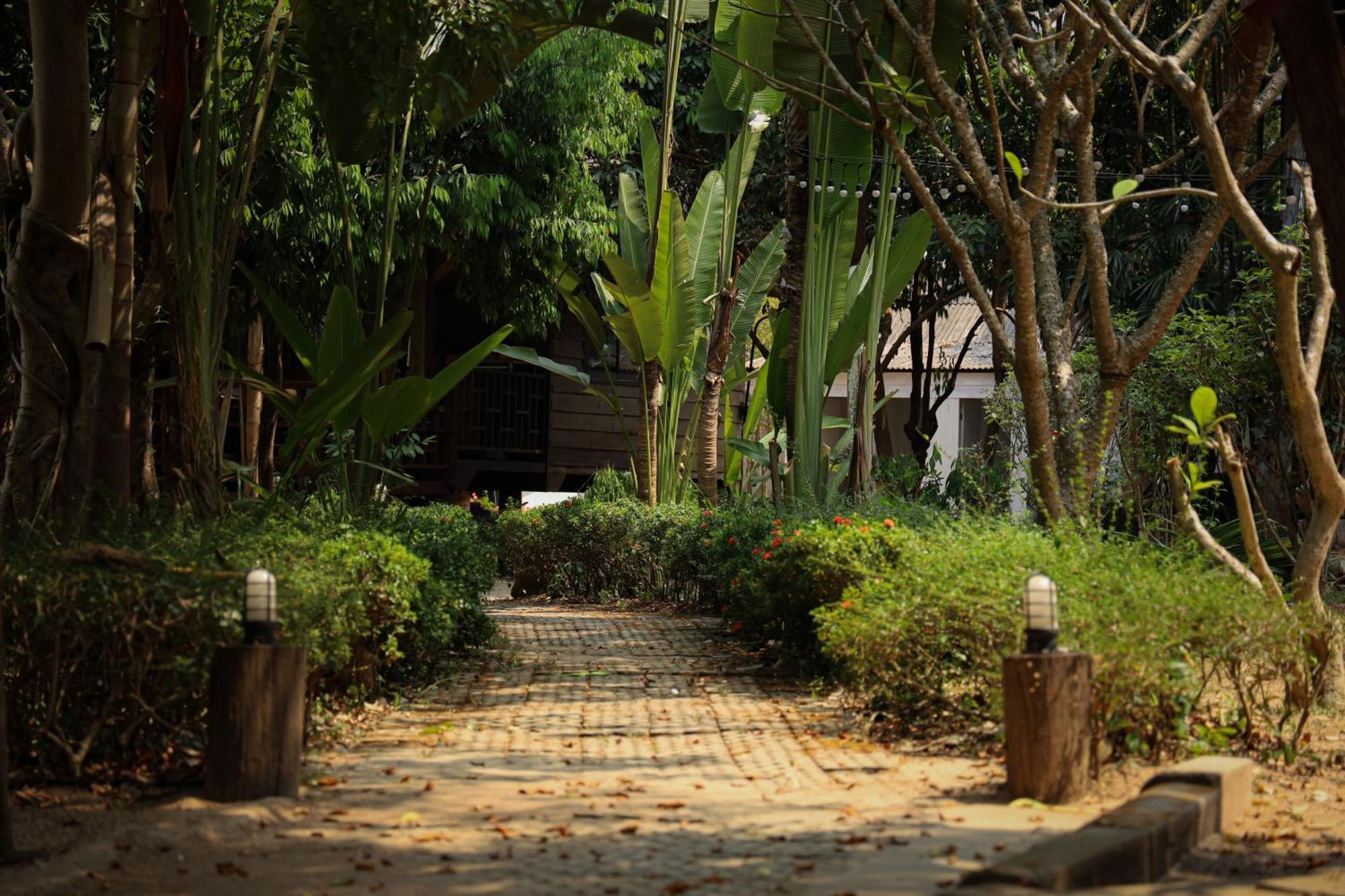 Dreamer Club Treehouse Bridge With Pool Homestay Chiang Mai