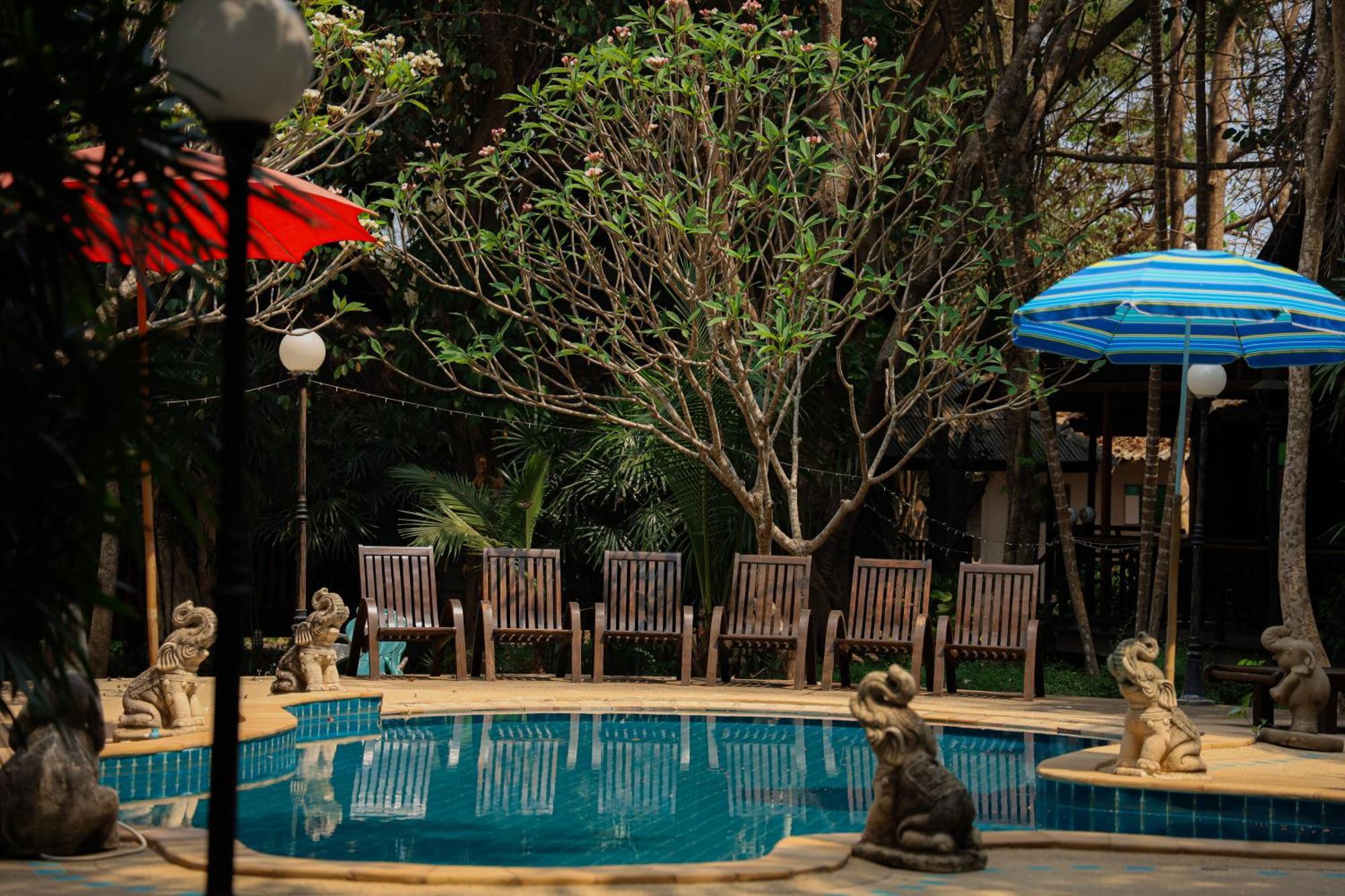 Dreamer Club Treehouse Bridge With Pool *