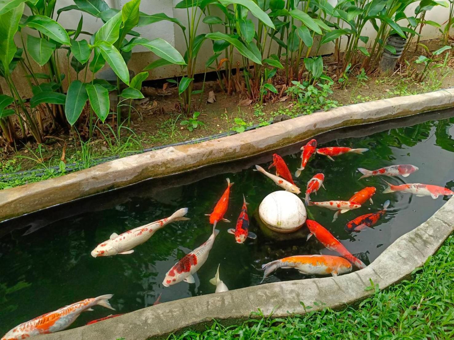 Khammon Lanna 4* Chiang Mai