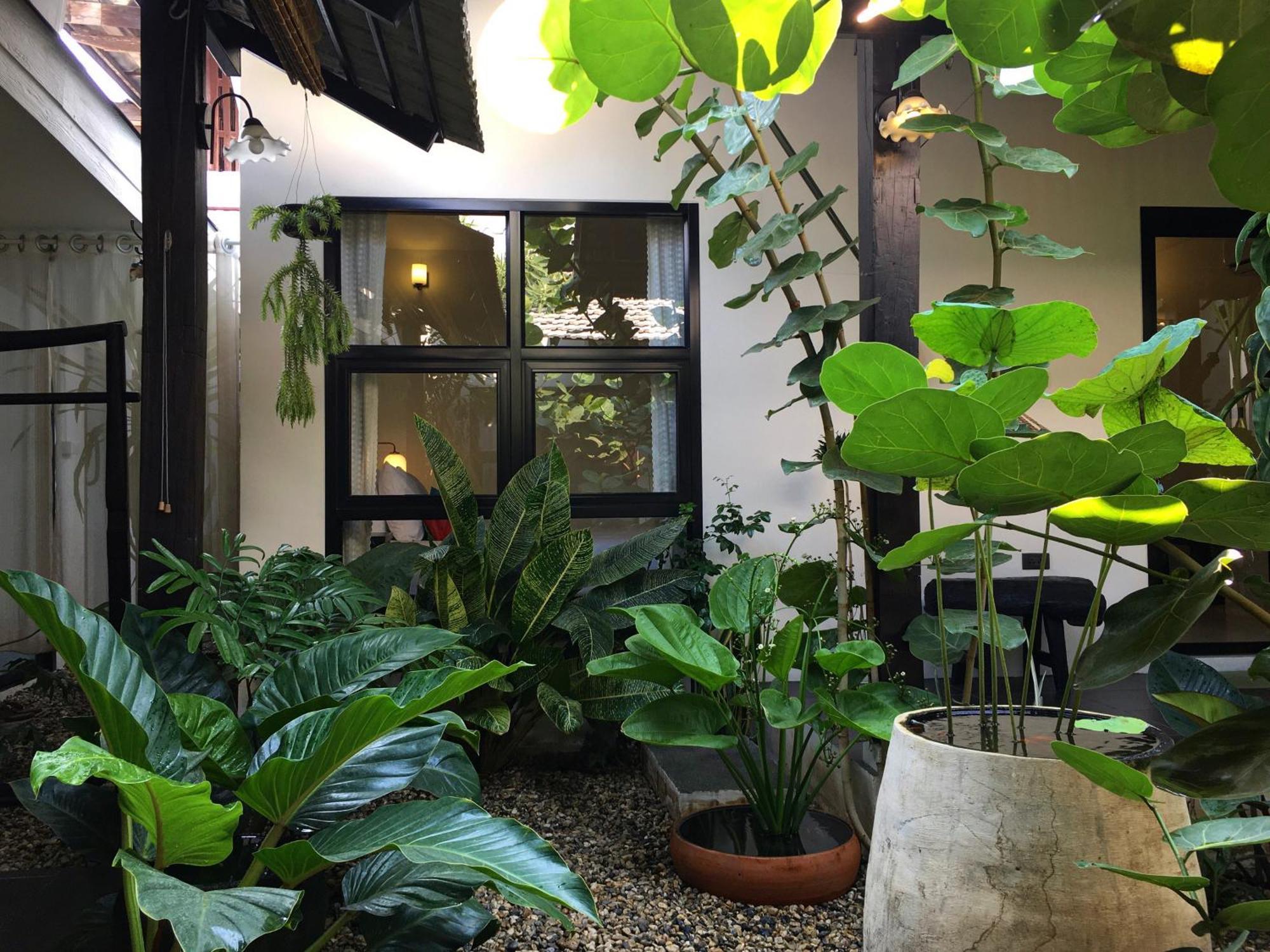 Holiday home Su Kho Rom Always ศุโขรมย์ - Adults Only Chiang Mai